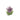 Flower Soy Wax Candle (various colours) By Bizarre Wicks