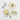 Line Drawn Flowers Pocket Leaf & Flower Press (various