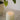 Peach + Ginger 8oz Soy Candle By Flambette