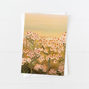 Pearly Everlasting Card By Briana Corr Scott
