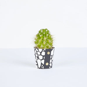 SALE - Pot Cover - Large White Dots By Studio Wald
