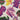 Rainbow Chard Tea Towel By Hello Maë
