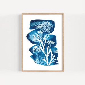 SALE - Seaweed Cyanotype #2 11x16 Print By Paper Birch