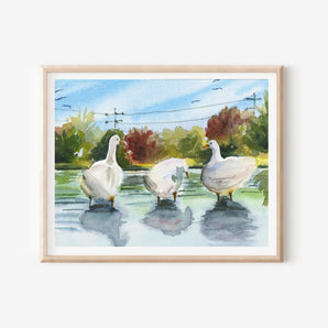 Sullivan’s Pond Geese 11x14 Print By Janna Wilton Art