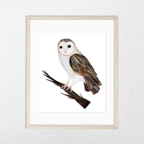 Barn Owl Collage 8.5x11 Print By A. K. Doak