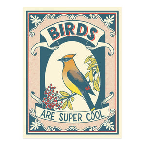Birds Are Super Cool 12x16 Print By Frog & Toad Press