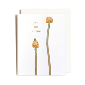 Birthday Mushrooms Card By Homework Letterpress