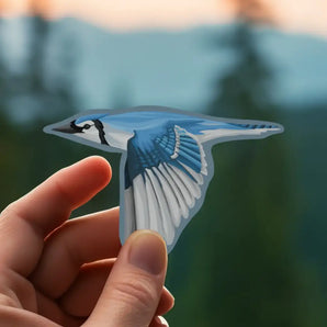 Blue Jay Sticker By Bygone Art Project