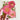 Botanical Art Card - Peonies By Hawk and Rose Press