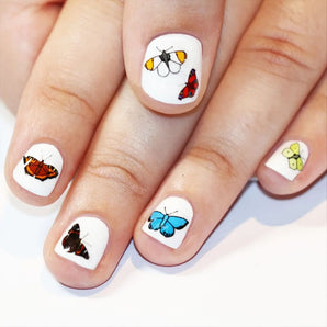 Butterfly Nail Art Transfers By Kate Broughton