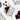 Coconut Cream White Chocolate Bar By One More Cocoa