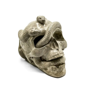 Concrete Skull With Snakes By CG Watercolors &
