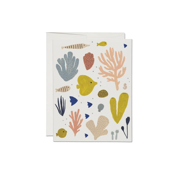 Coral & Fish Card By Red Cap Cards