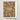 Forest Floor Holiday Card By Hammerpress