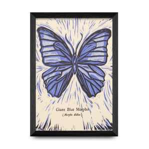 Giant Blue Morpho Butterfly 5x7 Print By Odyssean Press
