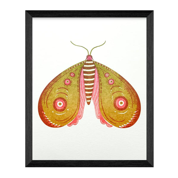 Gold Wing Moth 8x10 Print By Homework Letterpress