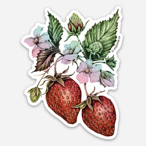 Holographic Strawberry Sticker By Arquoise Press
