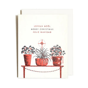 Houseplants Christmas Card By Homework Letterpress