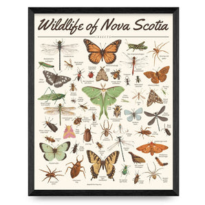 Insects - Wildlife of Nova Scotia 16x20 Print By Midnight