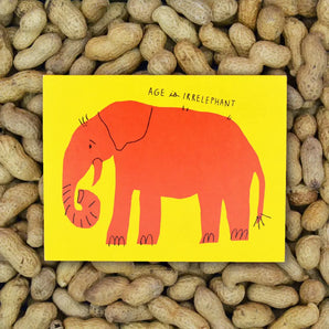 Irrelephant Birthday Card By Badger & Burke