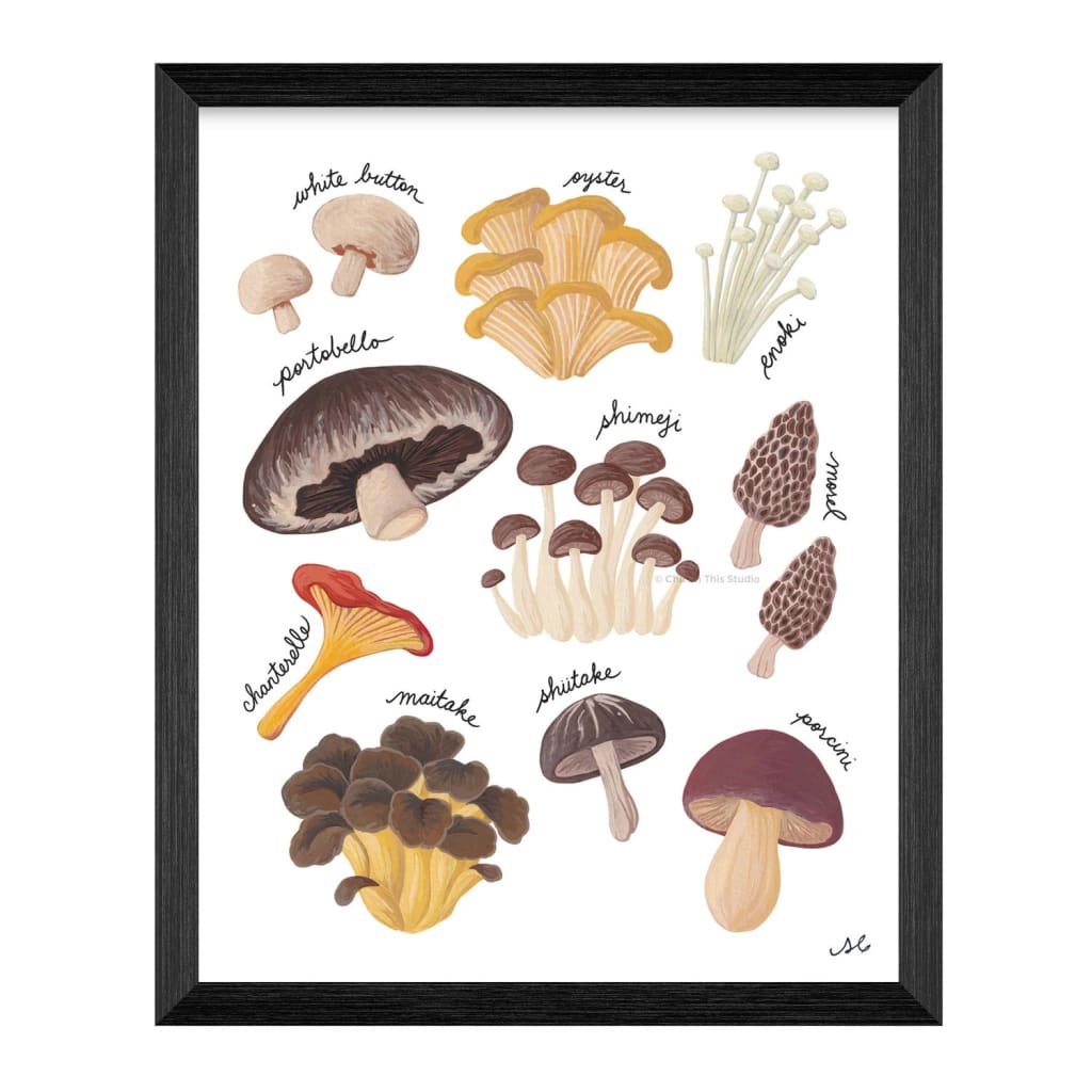 Know Your Mushrooms 8x10 Print By Chu on This Studio