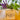 Lavender Rosemary & Mint Soap 120g By Bright Lion Botanicals