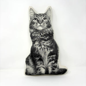 Longhair Cat Pillow By Broderpress