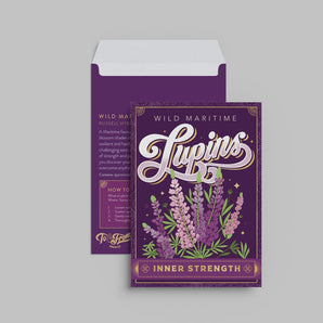 Lupins Seed Packet By KDP Creative Hand Lettering and Design