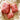 Makeup Bag - Red Gingham (various sizes) By Freon Collective