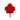 Maple Leaf Rug Hooked Pin By Lucille Evans Rugs