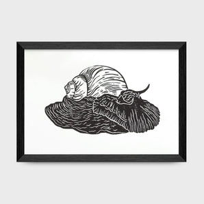 Moonsnail in Motion 8x6 Print By Fine Art Erin Hollingshead