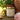 Morning Dew & Peony 8oz Soy Candle By Alben Lane