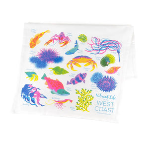 Ocean Life Tea Towel By Porchlight Press