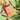 Ornaments Cut-Out Keepsake Card By To & From Gift Co.
