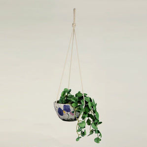 Pansy Hanging Planter By Hello Maë