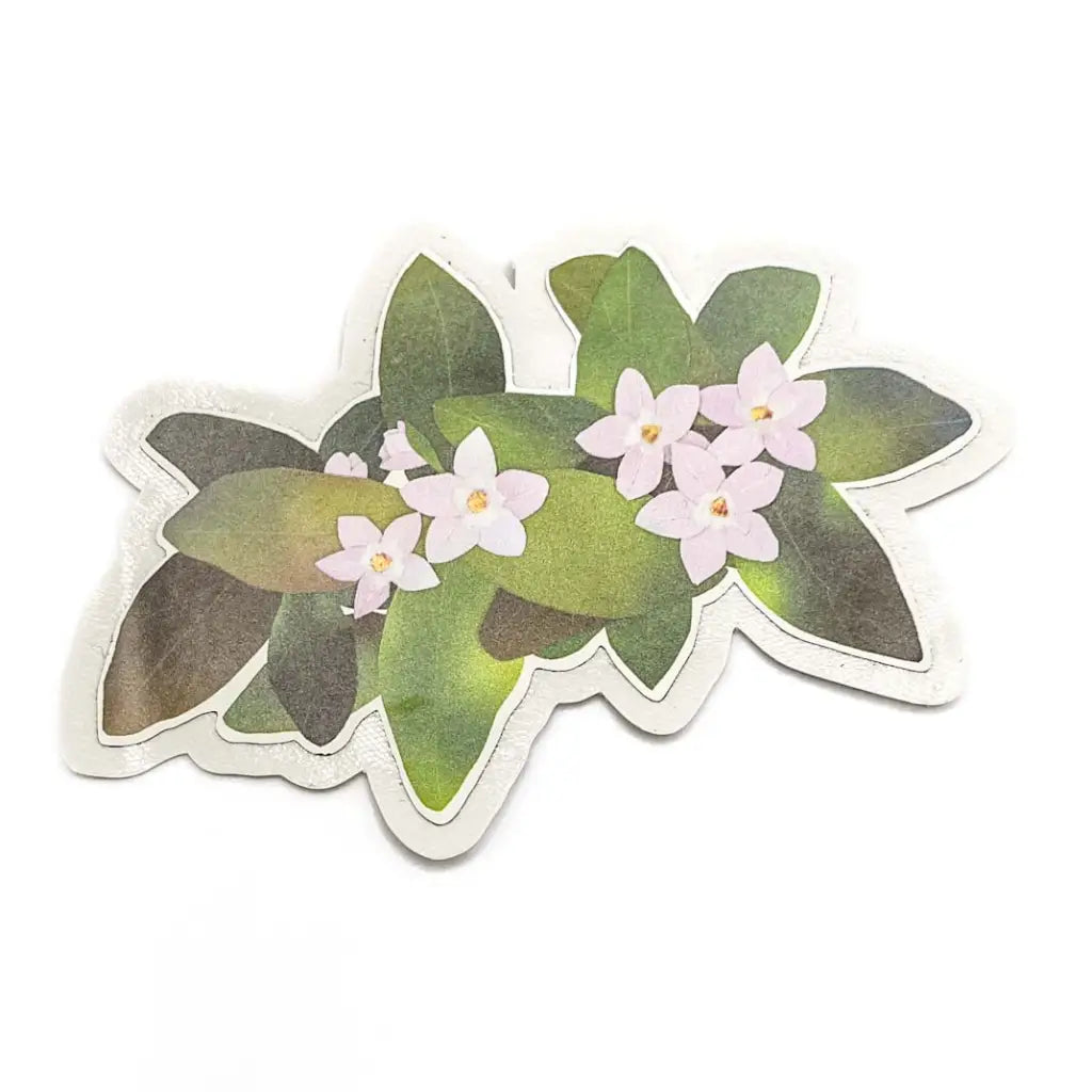 Doaks Sticker Pink Mayflowers Sticker - A. K. Doak - Inkwell Modern Handmade