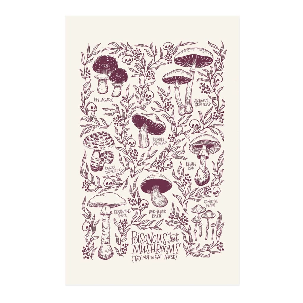 Poisonous Mushrooms 11x17 Print By Frog & Toad Press