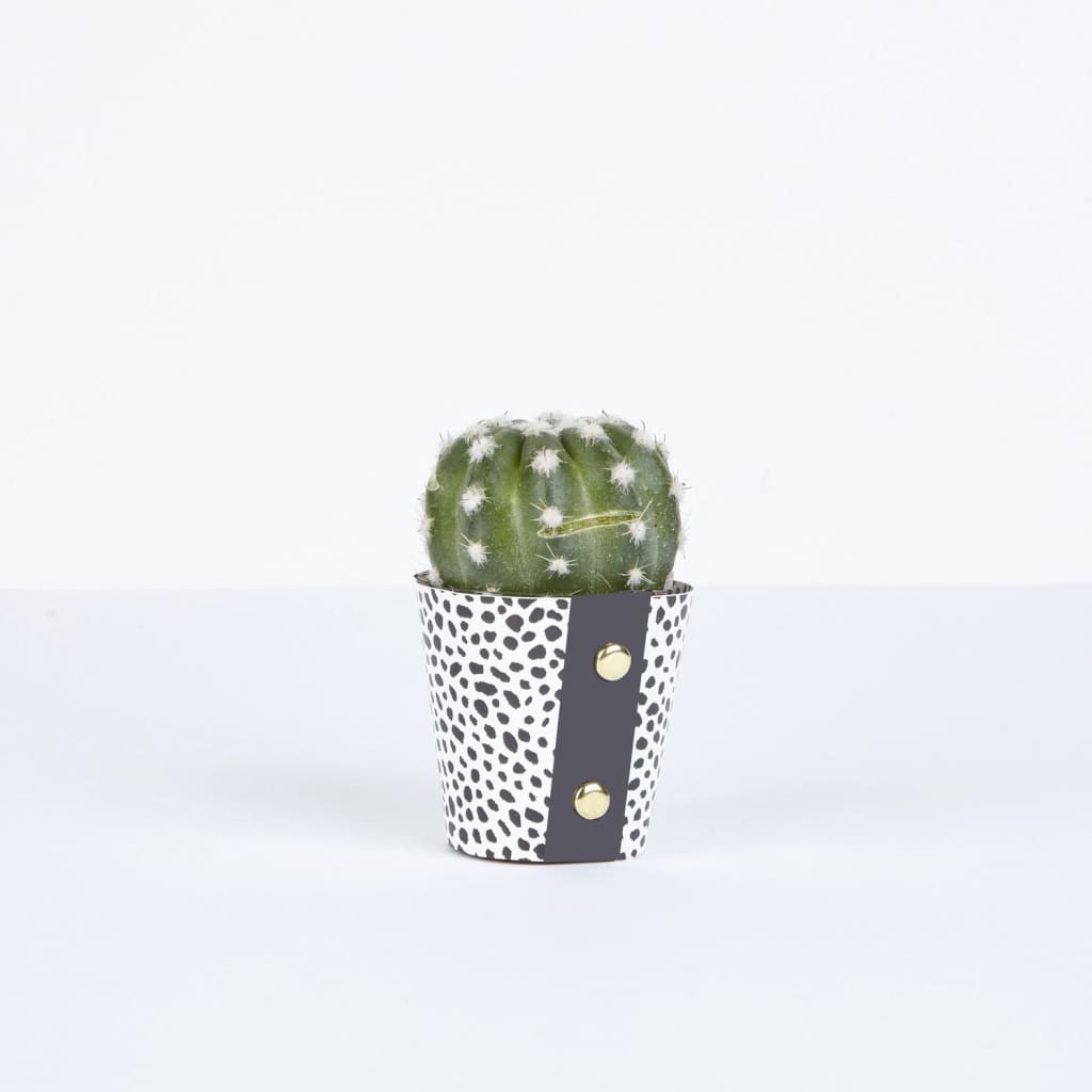 Pot Cover - Small Black Dots By Studio Wald