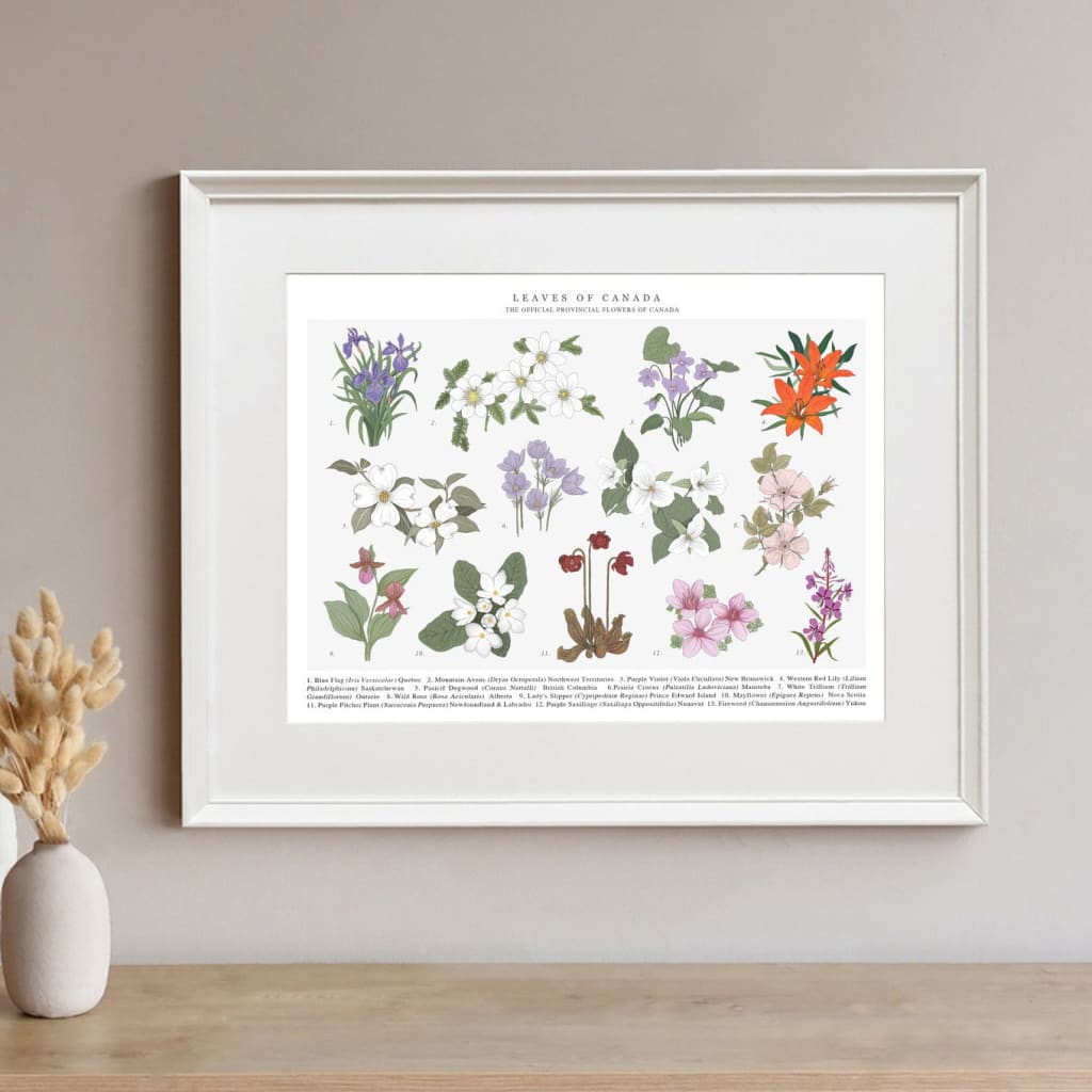 Provincial Flowers of Canada 12x16 Print By Leaves