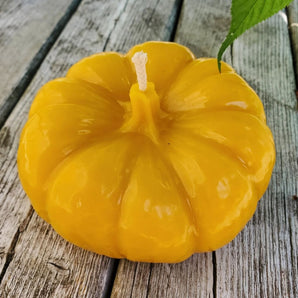 Pumpkin Beeswax Centrepiece Candle By Horsman’s Hearth