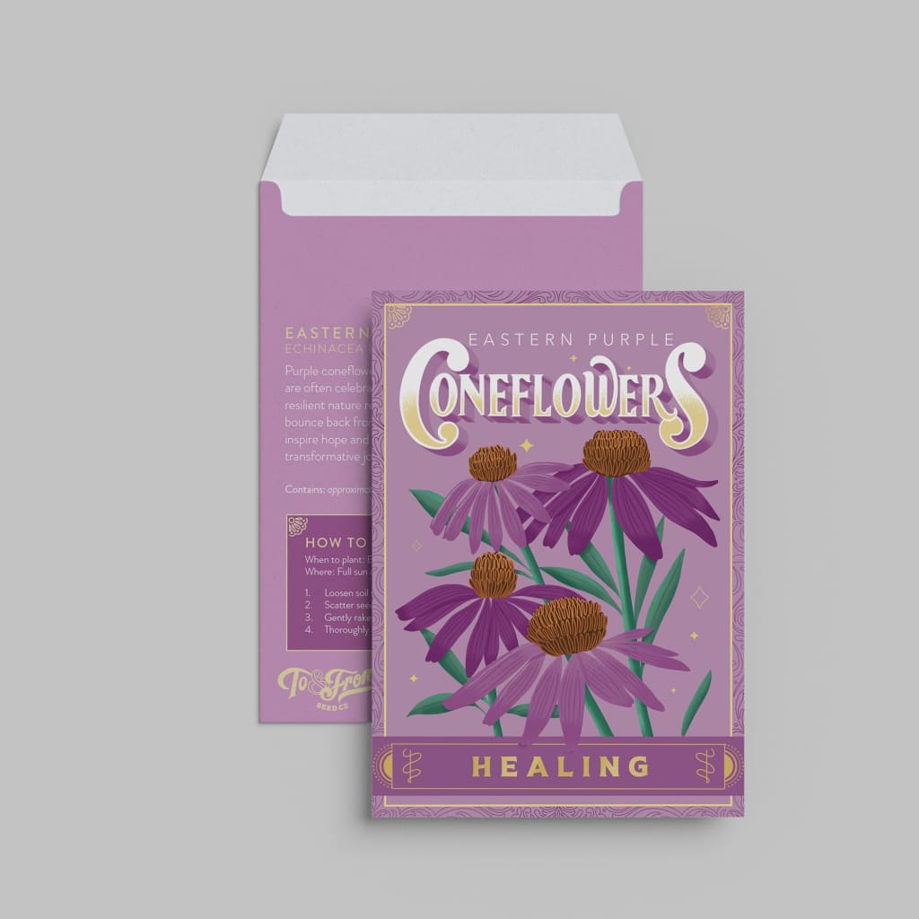 Purple Coneflowers Seed Packet By KDP Creative Hand