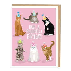Puurfect Birthday Card By Apartment 2 Cards