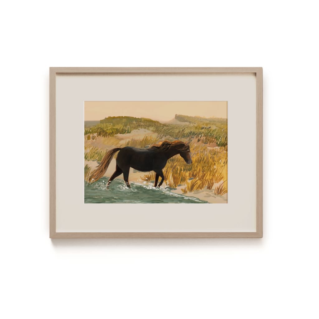 Sable Island Horse 8x10 Print By Briana Corr Scott