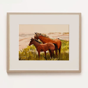 Sable Island Horses 11x14 Print By Briana Corr Scott