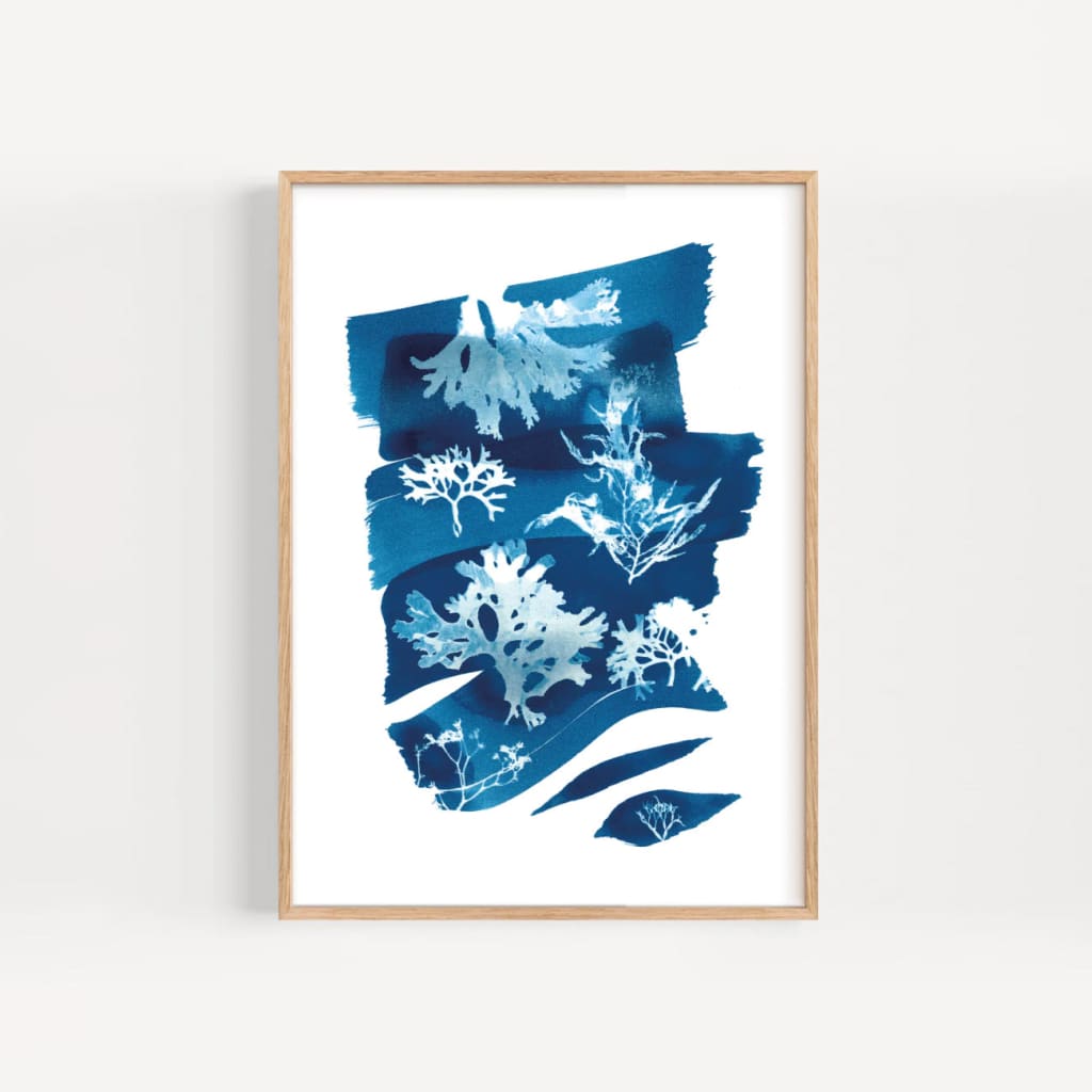 Seaweed Cyanotype #1 11x16 Print By Paper Birch