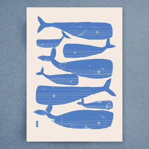 Singing Whales Tea Towel By Kautzi