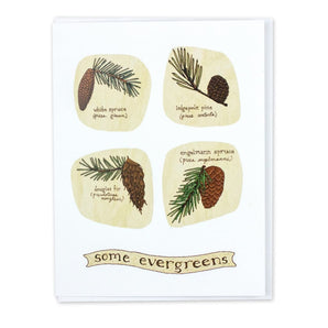 Some Evergreens Card By Little Foible