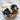SALE Sweet Dreams Sleep Mask (various patterns) By Little