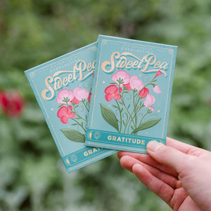 Sweet Pea Seed Packet By KDP Creative Hand Lettering