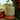 Tomato Vine 8oz Soy Candle By Alben Lane